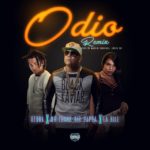 Mr. Frank Ft. Ozuna y La Hill - Odio Remix