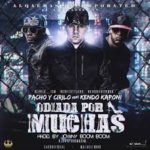 Pacho Y Cirilo Ft. Kendo Kaponi - Odiada Por Muchas MP3