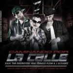 Ñengo Flow Ft. Xavi The Destroyer y J Alvarez - Caminando Por La Calle MP3