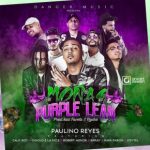 Paulino Rey Ft. Gigolo Y La Exce, Brray, Rafa Pabon, Robert Menor, Keytel Y Calk Boy - Moñas Y Purple Lean MP3