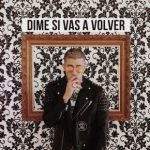 Bad Bunny - Dime Si Vas A Volver MP3