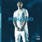 Elio Mafiaboy - Pichando MP3