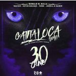 Ronald El Killa Ft. Mackie, Kevin Roldan, Yomo, Jowell Y Randy - Gatita Loca Remix MP3