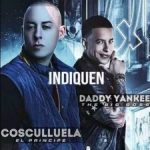 Cosculluela Ft. Daddy Yankee - Indiquen MP3