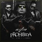 Wisin Ft. Zion Y Lennox - Prohibida MP3