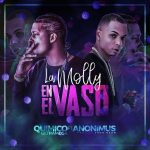 Quimico Ultra Mega Ft. Anonimus - La Molly En El Vaso MP3