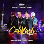 De La Ghetto Ft. Cosculluela, Ñengo Flow, Bad Bunny - Cali Kush Remix MP3