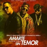Rima Ft. Ricky Rodz, Randy Nota Loca Y Franco El Gorilla - Amarte Sin Temor Remix MP3