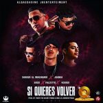 Xander El Imaginario Ft. Juanka, Sammy Y Falsetto, Endo, Kodigo - Si Quieres Volver Remix MP3